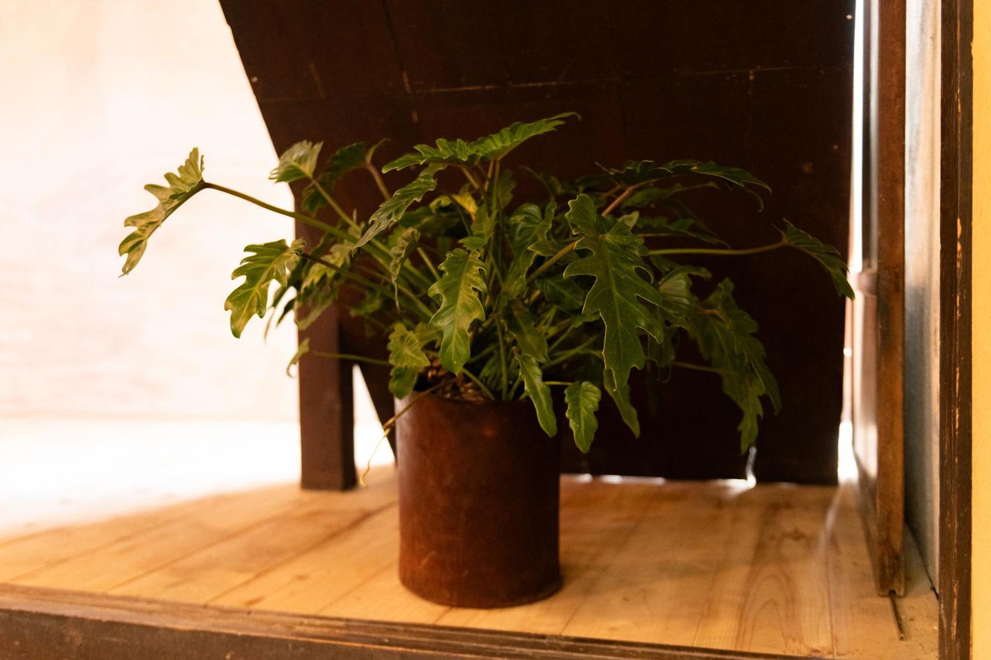 篠山城下町ゲストハウス Quolo Tamba-Sasayama Extérieur photo