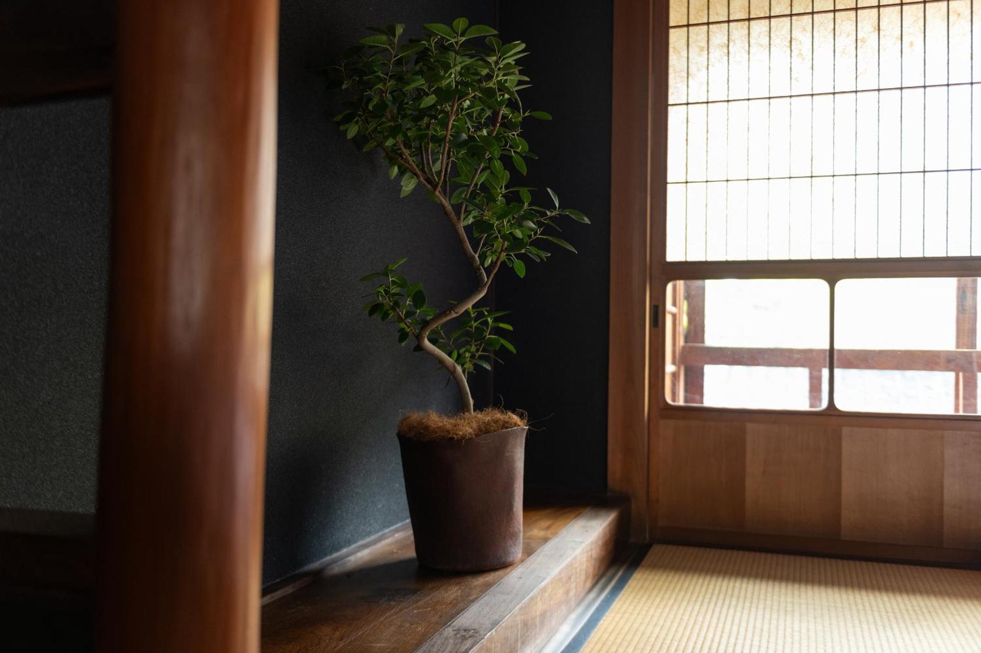 篠山城下町ゲストハウス Quolo Tamba-Sasayama Extérieur photo